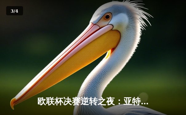 欧联杯决赛逆转之夜：亚特兰大3-0完胜勒沃库森，卢克曼帽子戏法终结对手51场不败神话 - 3